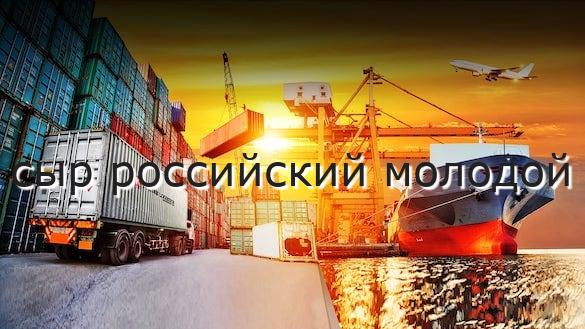 сыр российский молодой
